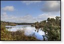 Oisterwijkse Bossen en Vennen Kampina natuurgebied natuur oisterwijk Nationaal park Landschap Het Groene Woud hei heide bossen natuurmonumenten brabant baronie boswachterij dorst
